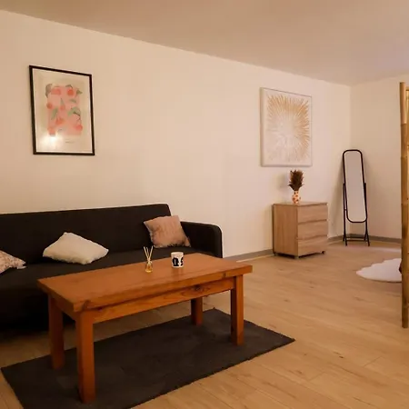 Lejlighed Le Saint Regis - Hyper Centre. *