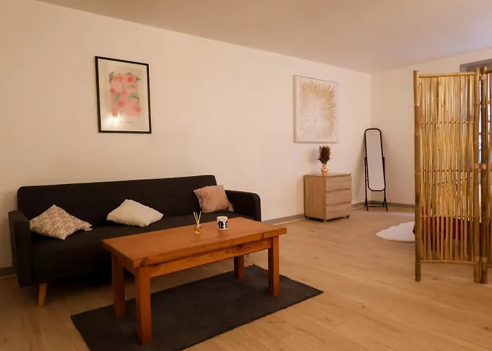 Lejlighed Le Saint Regis - Hyper Centre. *