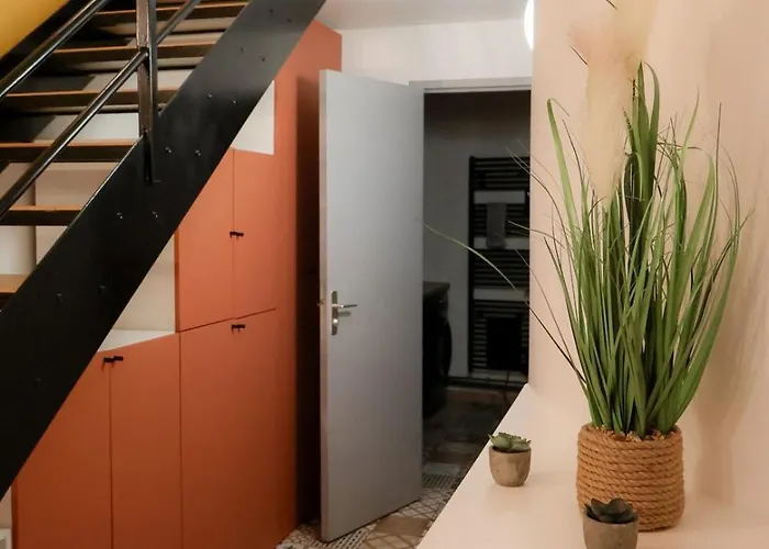 Le Saint Regis - Hyper Centre. Appartement *